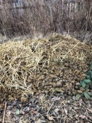 Koński nawóz, obornik, świeży, za darmo