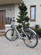 Rower Miejski Pegasus Milano GT