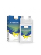 Horselinepro electrolyte +mg 1000ml EQUKAMELA