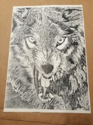 Oryginalny rysunek wilka wykonany ołówkiem.