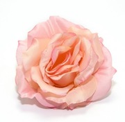 Ekskluzywna Główka Róży–Pudrowy Róż – Premium DIY