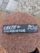 Sterownik DCU Cectek Gladiator/Quadrift 550 T6