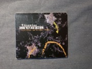 Throwing Muses - Bright Yellow Gun