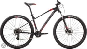 Rower MTB ROCK MACHINE Manhattan 70-29