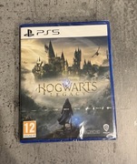 Hogwarts Legacy PS5