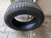 APOLLO Alnac 4G All Season 205/55R16 94H XL 2024