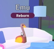 Adopt Me Roblox FR Neon Emu