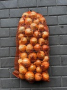 Sprzedam świeżą cebulę własnej uprawy