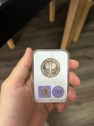 100 ZŁOTY POLSKA 1977 RYBY ZWIERZĘTA PRÓBA