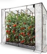 Szklarnia foliowa Arebos