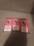 Panini premier league 2024 saszetki limited edition cena za 1