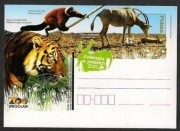 Pocztówka Zoo Wrocław