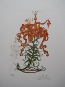 Salvador Dali (1904 - 1989).''Lilie tygrysie". Sygnowane odręcznie 1972