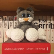 Kotek, maskotka handmade, szydełko