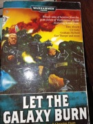 Let the Galaxy Burn!