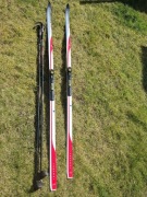 Narty biegowe + kijki Alpina