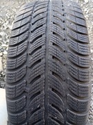 205/55R16 Dębica frigo 