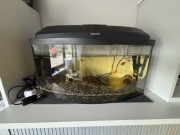 Kompletne akwarium 54l