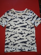 T-Shirt chłopięcy H&M  roz.134/140 (8-10 lat)