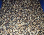 Karma dla papugi małej bez słonecznika 20kg