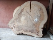 Plaster Drewna BUK 98/75/10 cm Blat Stolik Żywica DIY Wysuszony