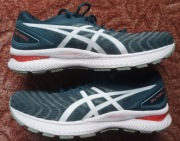 Asics Gel Nimbus 22