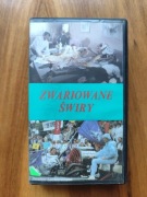 Zwariowane świry - dystr. Apollo Film