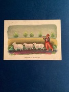 LEONIA JANECKA - POCZTÓWKA - „WIELKANOC” - 1970 rok