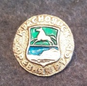 Odznaka Rosyjska "Miasto Uglicz - herb" (44)