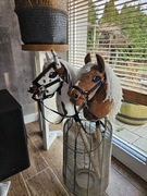 Konik hobby horse A5