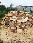 drewno kominkowe Buk 