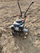 Glebogryzarka - wynajem