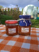 SYROP Z KWIATOSTANÓW NAWŁOCI KANADYJSKIEJ (170 ml, cukier biały 36,8%) 