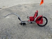 Weehoo przyczepka rowerowa