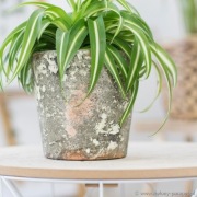 Osłonka Ø 12 cm doniczka TERAKOTA Rustic