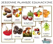 Przedszkole jesienne plansze edukacyjne demonstracyjne plik PDF