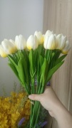 20 tulipanów silikonowych 