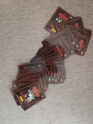 Stranger Things 70 szt. kart Panini