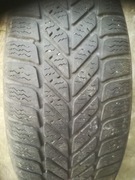 195/65r15 debica frigo 2 zima dwie sztuki