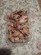 Czosnek zimowy Harnaś do sadzenia,spozycia ząbki 1kg