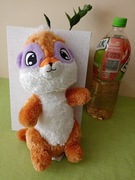 Wiewiórka.  Maskotka