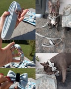 Smycz i obroża - kolor błękitny w rozmiarze „L”