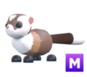 Black-Footed Ferret M Adopt Me Roblox