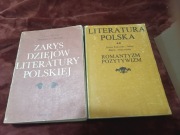 Literatura polska 8 książek w cenie 25 zł 