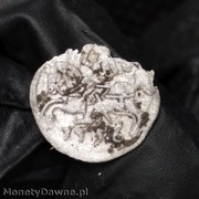 denar 1556, Wilno Zygmunt II August 