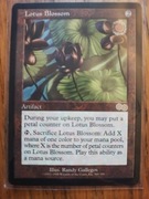 Lotus Blossom, USG 300
