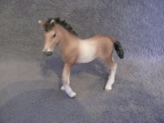 @ Schleich  kucyk 11 @