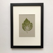 Obraz artystyczny z odciskiem liścia Klonu Tatars