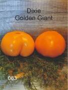 063-Dixie Golden Giant. Pomidory kolekcjonerskie.