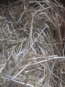 sianko łąkowe  mini kostka 7kg